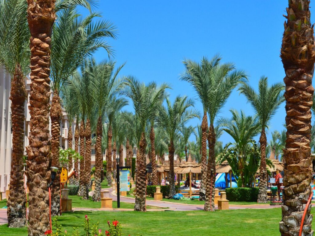 Cheap Holidays Turkey