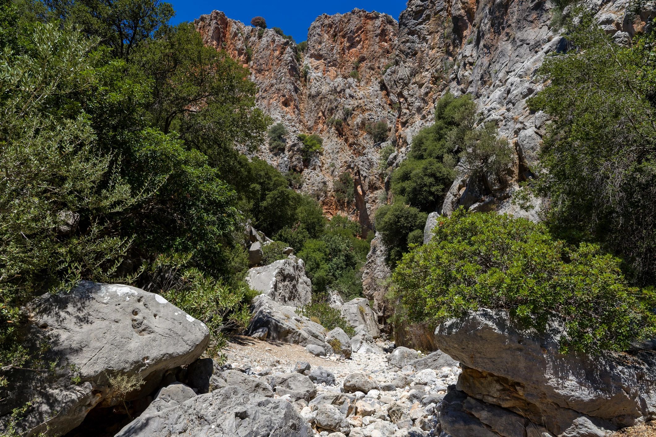 Scenic Rocky Canyon Landscape in Summer Sun of Mount Olympus