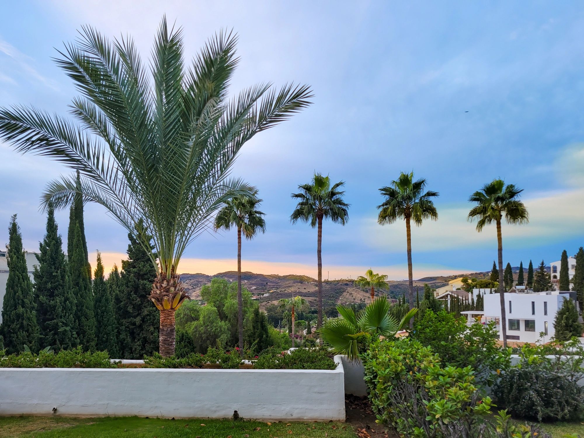 Sunset palms and white buildings on the Costa del Sol
