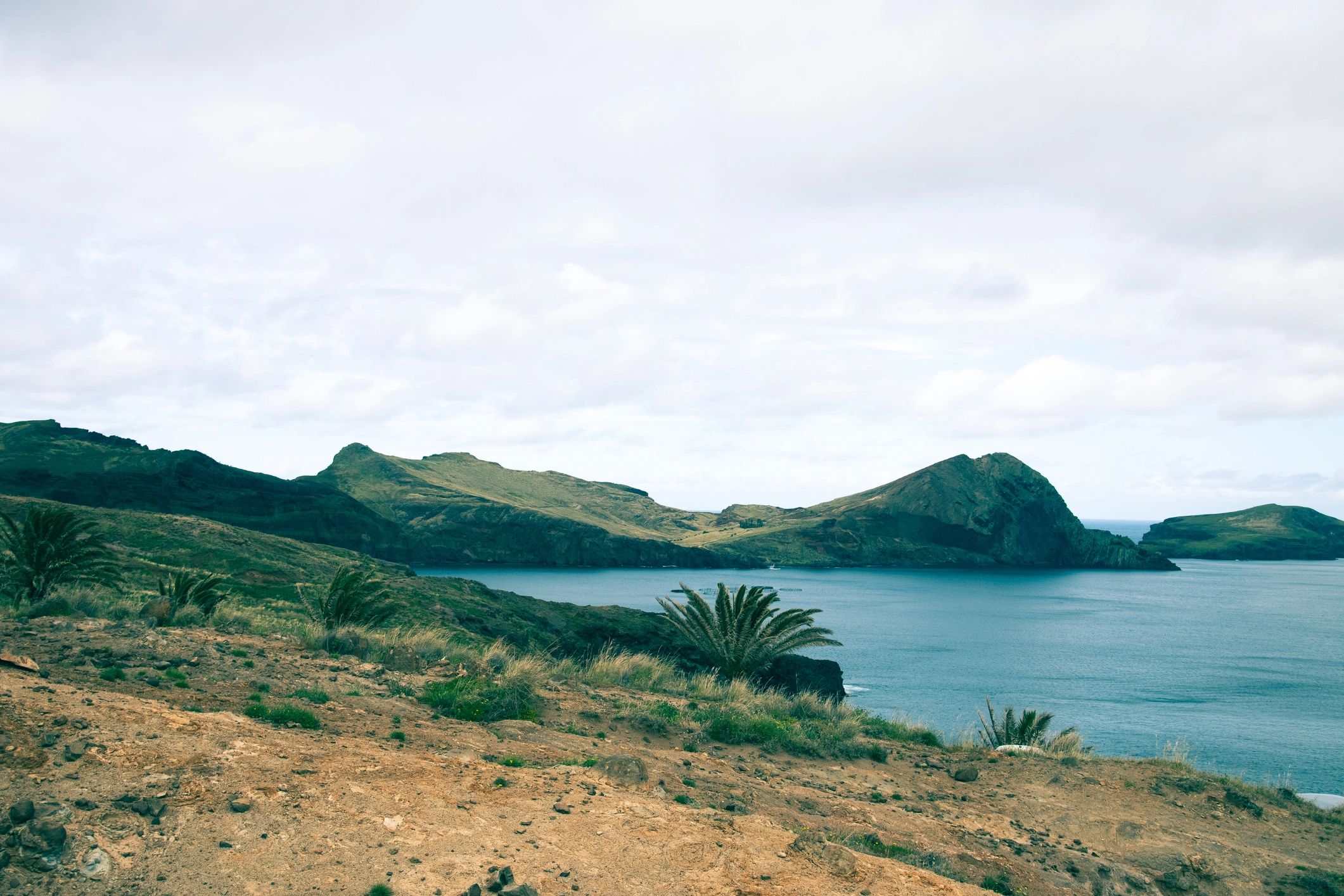 Madeira coastal cliffs and Atlantic scenery in Portugal