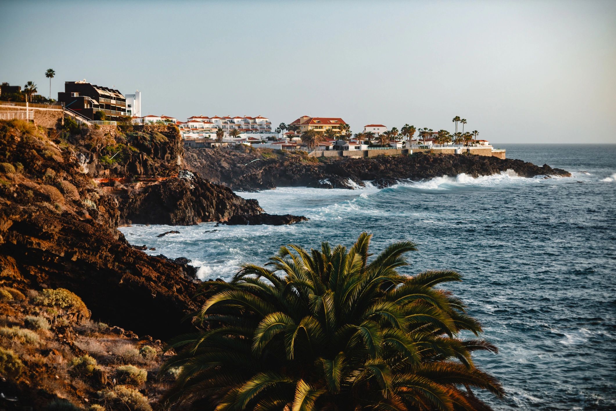 Palm trees and volcanic coastline in Tenerife resort area